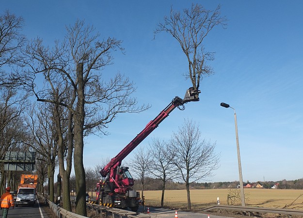 Einsatz des Tree-Trimmers an der B1 in Brandenburg